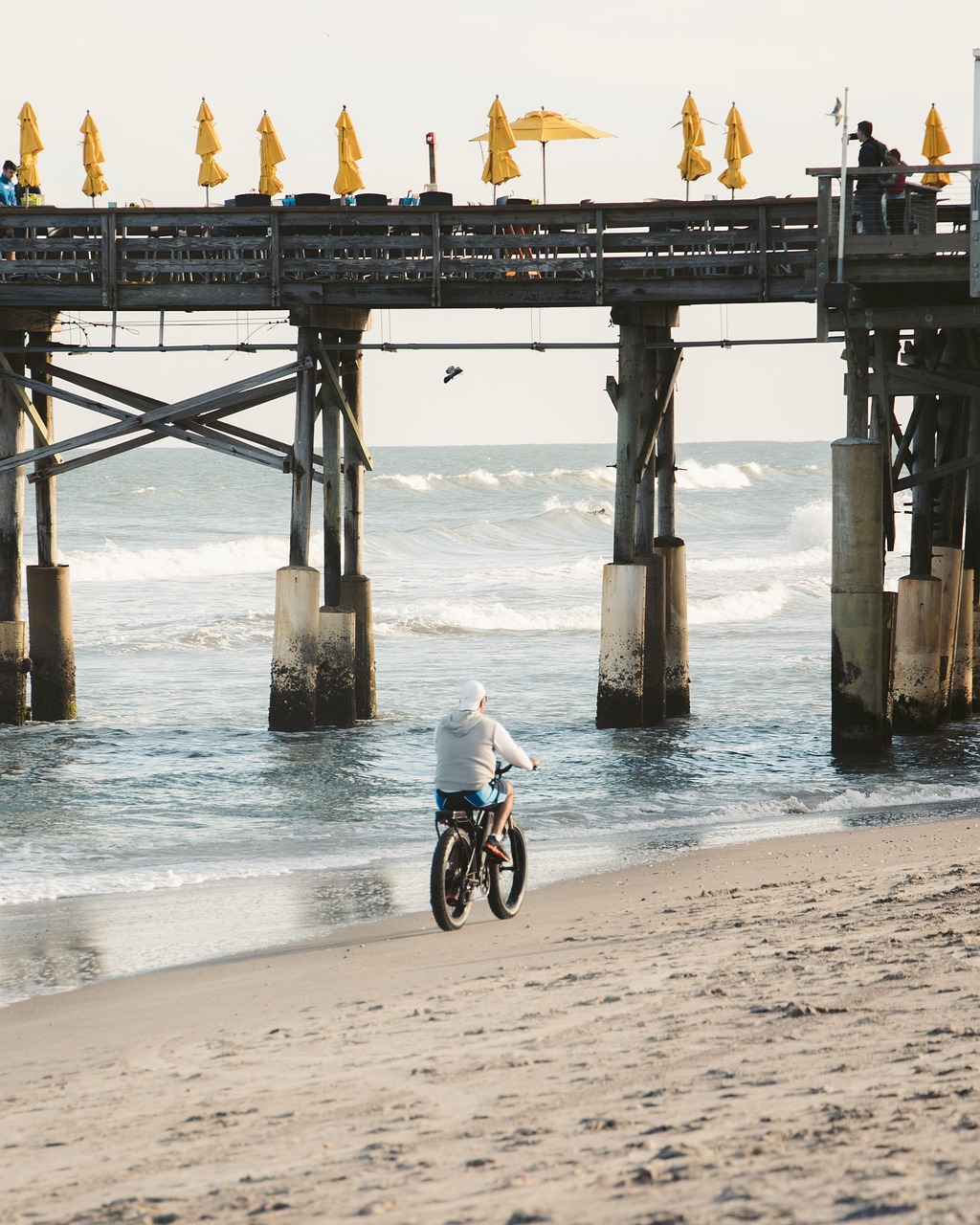 16 Amazing Nature Trips in Florida
