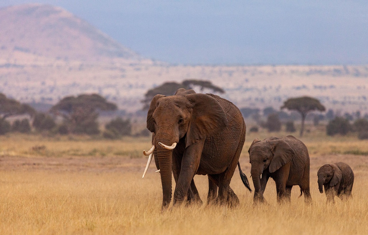 The 12 Places to Visit In Southern Africa
