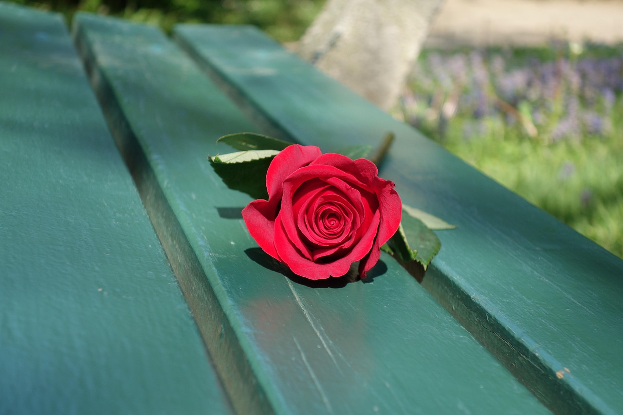 Top 5 Ways to Give Someone a Love for the Outdoors