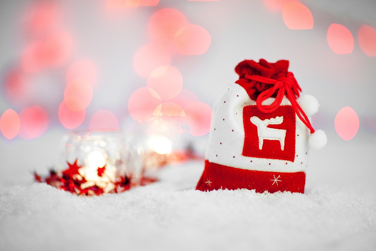 12 Awesome Holiday Gift Ideas for Nature Lovers