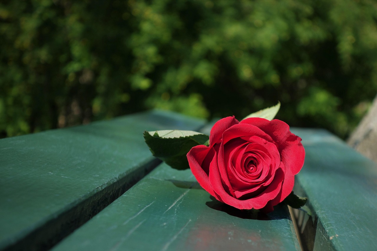 Top 5 Ways to Give Someone a Love for the Outdoors
