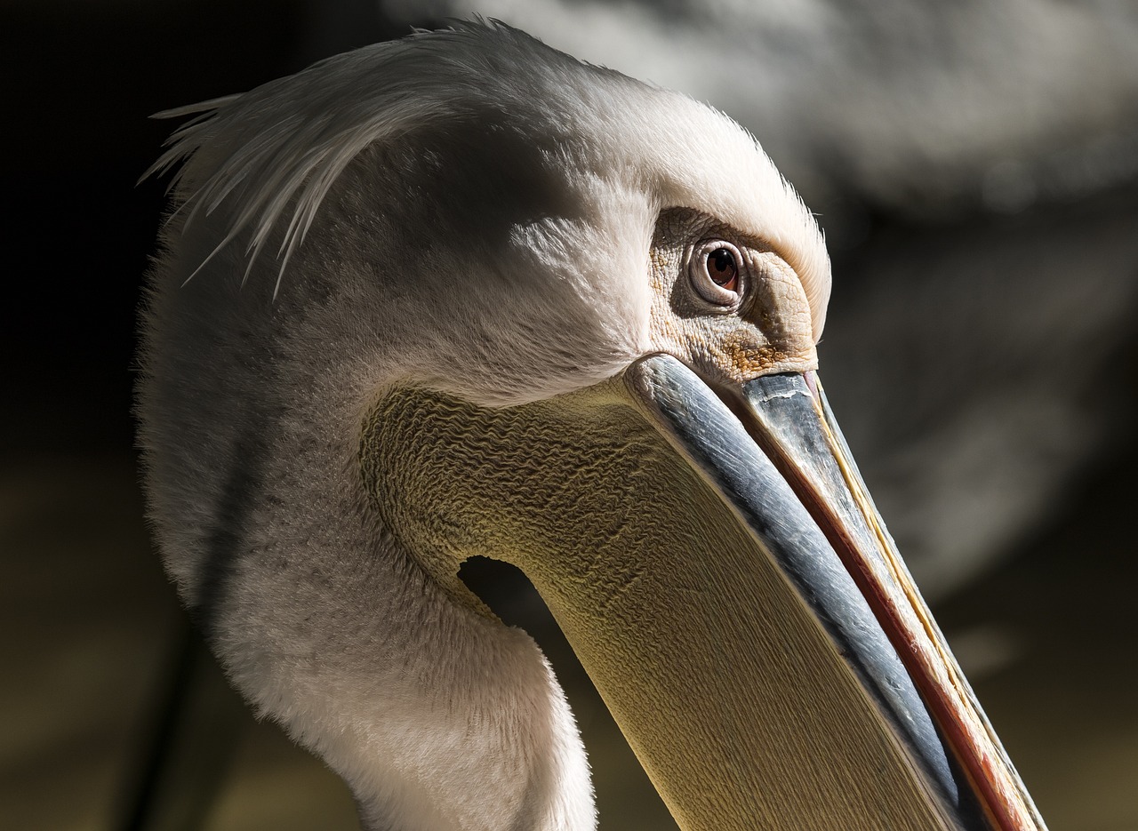 16 Amazing Nature Trips in Florida