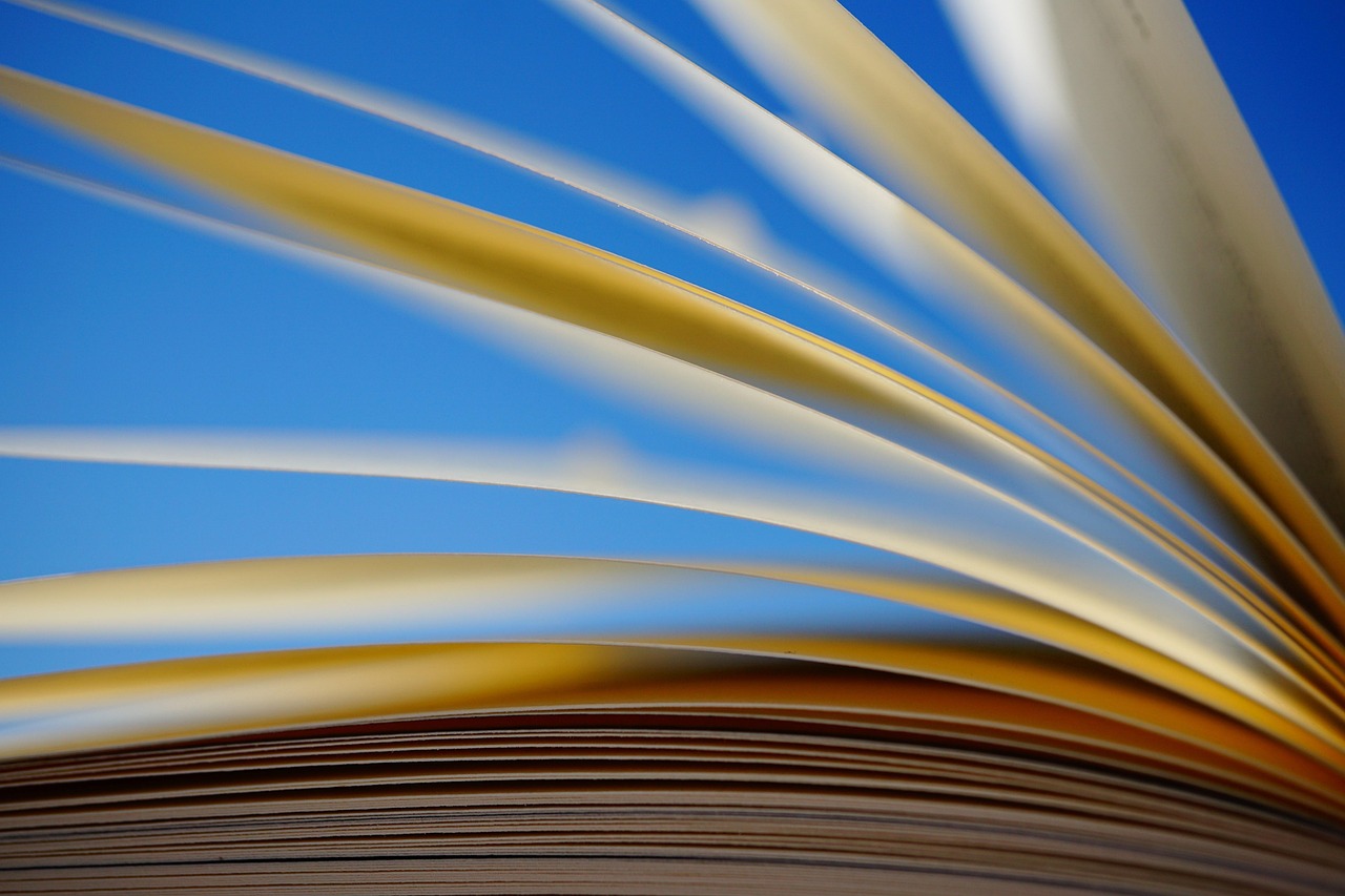 Reading the Story of Nature – The Art of Tracking