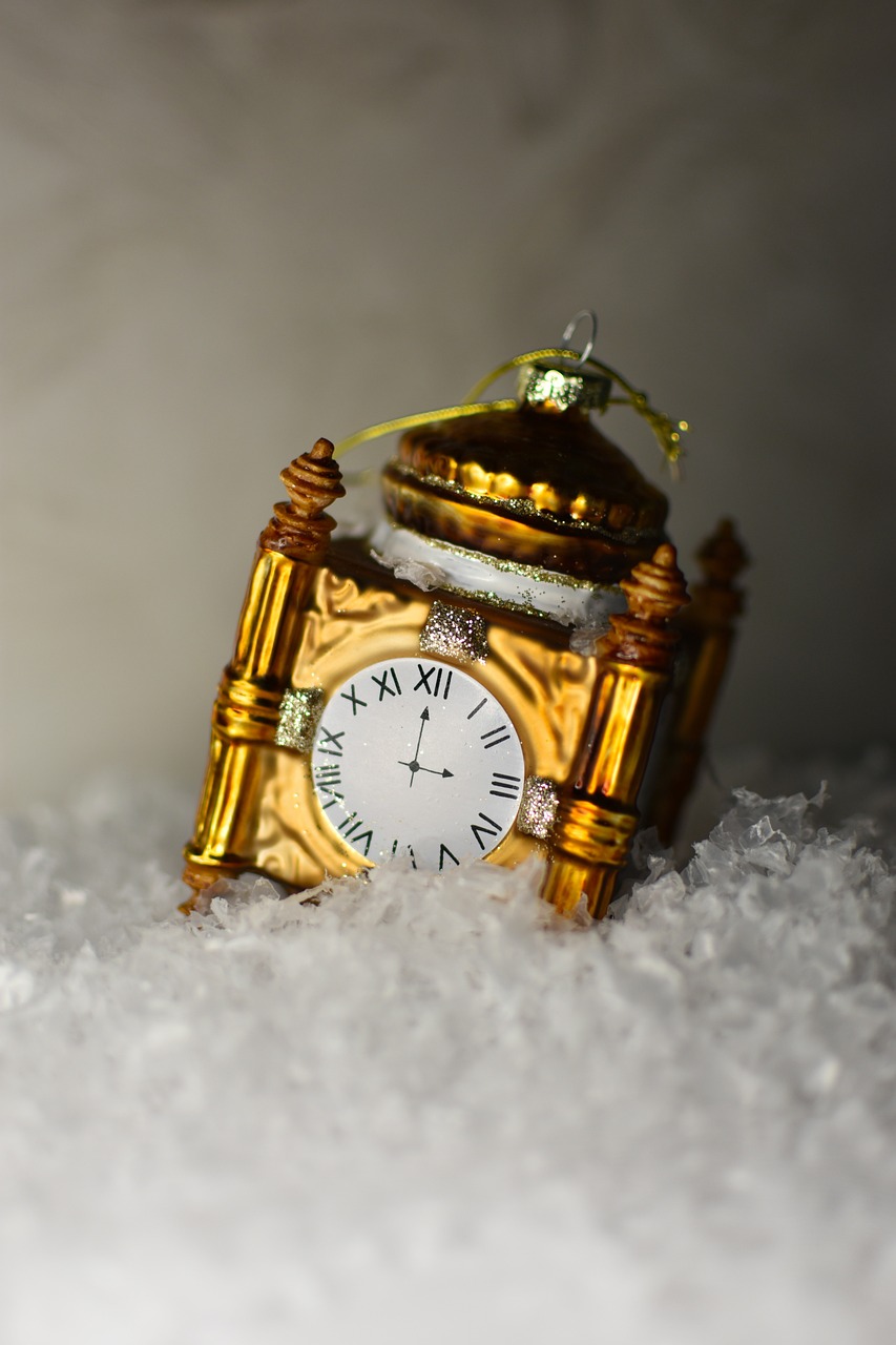 12 Awesome Holiday Gift Ideas for Nature Lovers