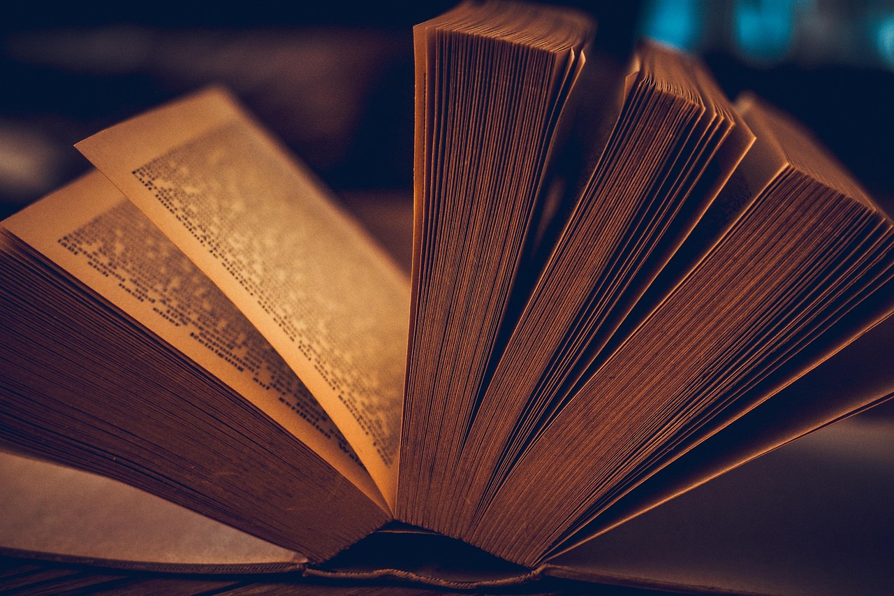 Reading the Story of Nature – The Art of Tracking