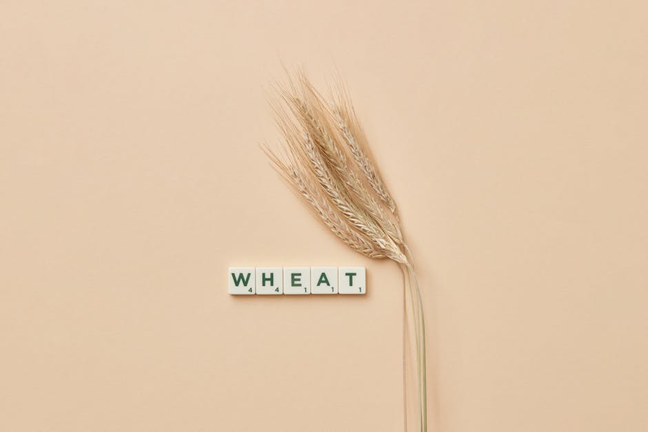 Reclaiming Nature Words: 6 Ways to Rewild Your Vocabulary