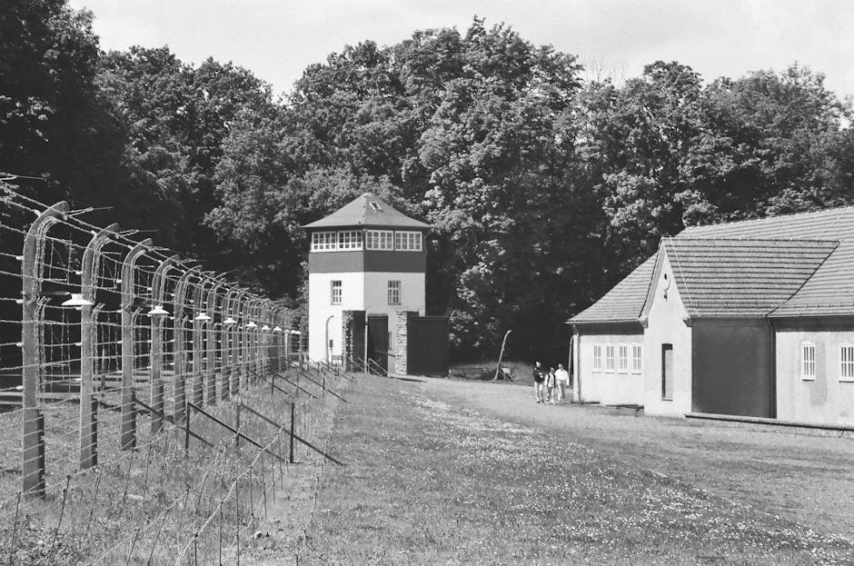 人工智能代理在编写代码和破解代码方面越来越优秀